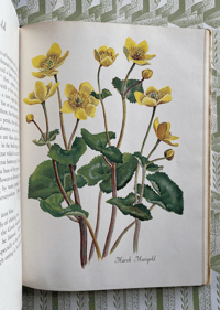 Image 10 of A Bouquet of Wild Flowers