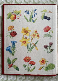 Image 2 of The Picture Dictionary of Flowers
