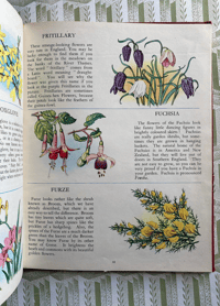 Image 4 of The Picture Dictionary of Flowers