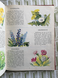 Image 5 of The Picture Dictionary of Flowers