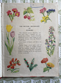 Image 6 of The Picture Dictionary of Flowers