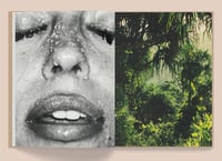 Image 4 of Kate Bellm - La Selva