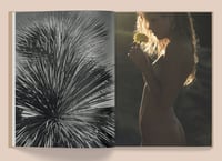 Image 7 of Kate Bellm - La Selva