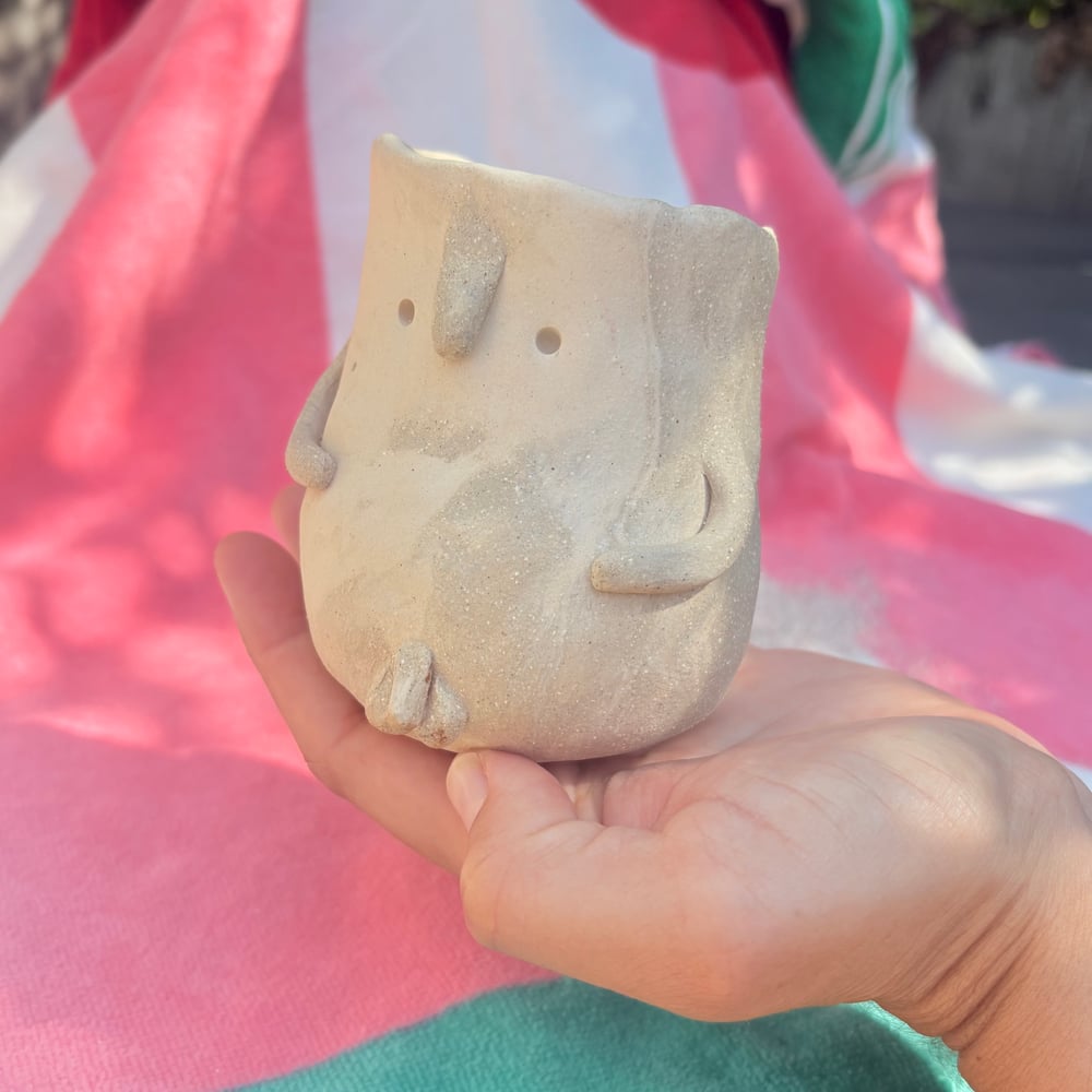 Image of Nudey Beach Willy Pot 
