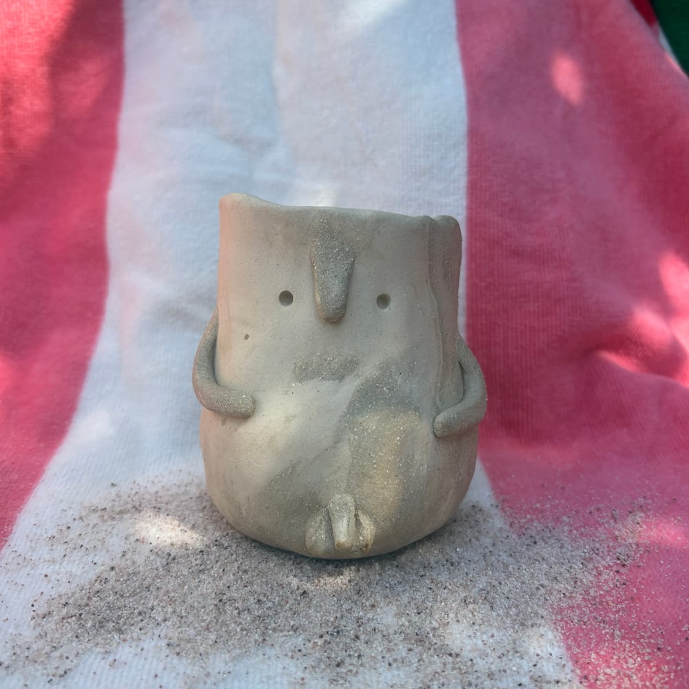 Image of Nudey Beach Willy Pot 