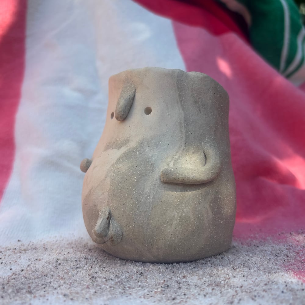 Image of Nudey Beach Willy Pot 