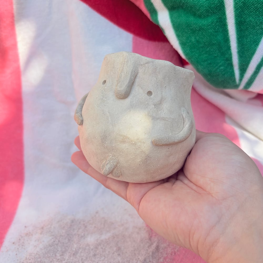Image of Nude Beach Willy Pot 