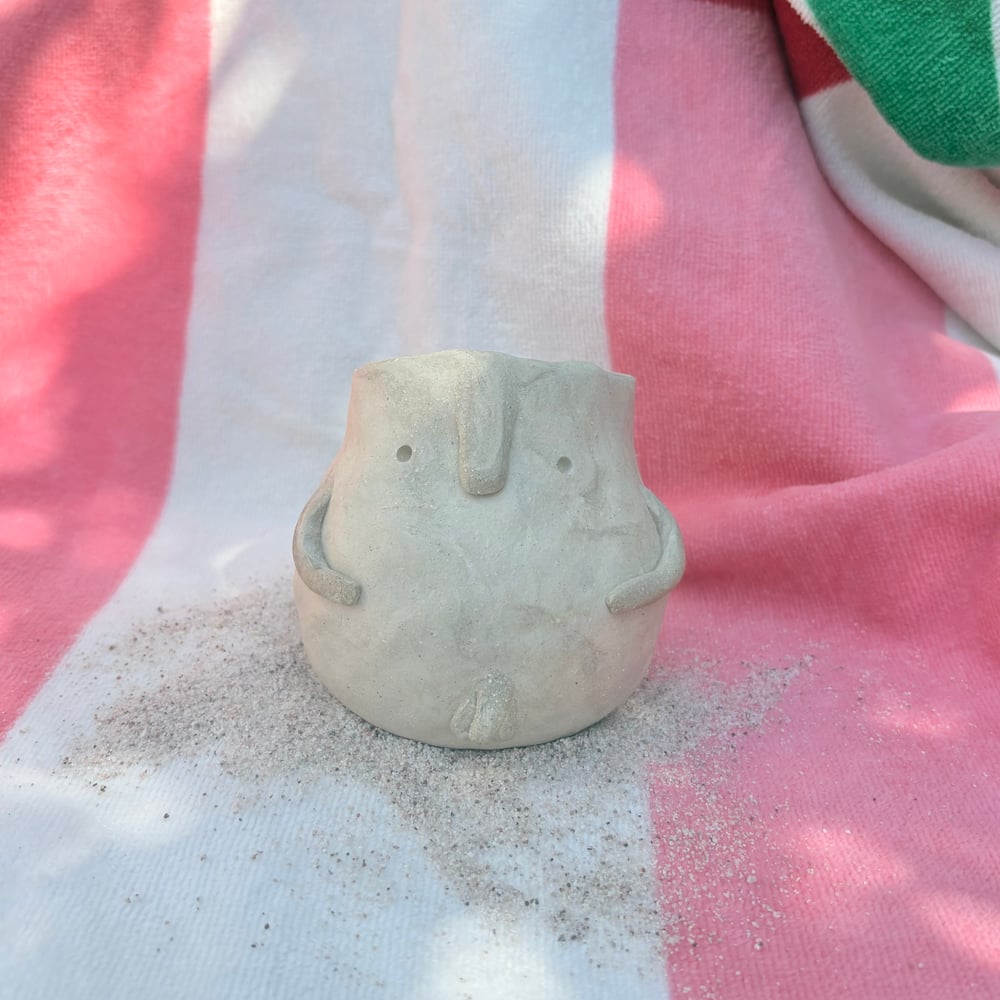 Image of Nude Beach Willy Pot 