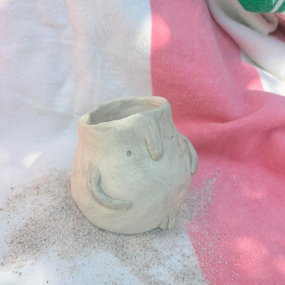 Image of Nude Beach Willy Pot 