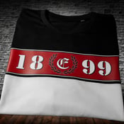 Image of TSWB 1899
