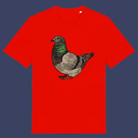 Image 1 of T-shirt: ROUND PIGEON red/blue/yellow