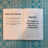 Image 2 of (Vol 2) The Hyper-Individualism of Nonviolent Communication