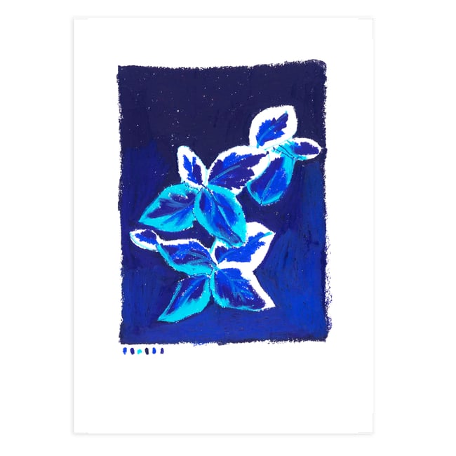 Jardin breton n°6