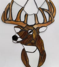 Image 1 of White Tail Deer