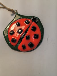 Image 2 of Ladybugs