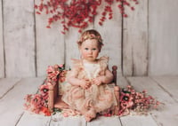 Image 21 of Vintage Divan