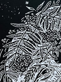 Image 3 of ‘Stargazer’ linocut print