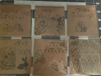 painspresent demo mini CD