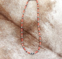 Red Spiny