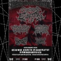 SPINFEST VOL.2