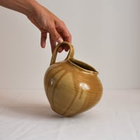 Image 4 of Pitcher - Pollen