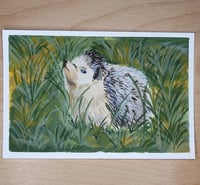 Image 2 of 4"x 6"Hedgehog in Grass Gouache Painting