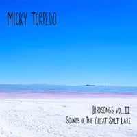 Birdsongs, Vol 3 - Sounds Of The Great Salt Lake CD