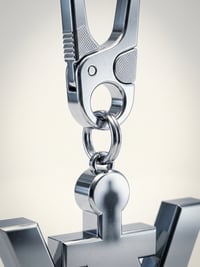 Image 2 of The "Watch the Wolves" Identity Hardware Keychain