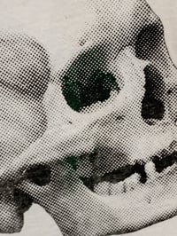 Image 3 of Ghosts Beneath Silkscreen Skull White Tanktops 