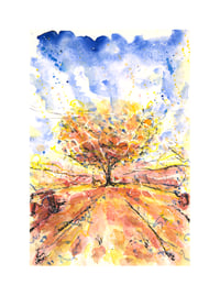 Image 5 of The New Inn Apple Tree - Fine Art Print