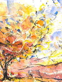 Image 3 of The New Inn Apple Tree - Fine Art Print