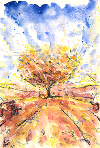 Image 1 of The New Inn Apple Tree - Fine Art Print