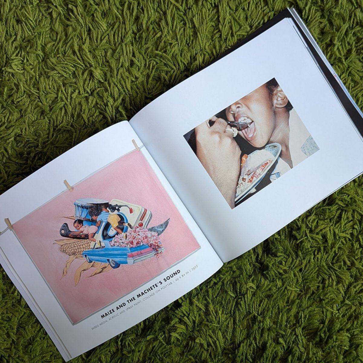 Image of RIDE THE ANIMALS BOOK