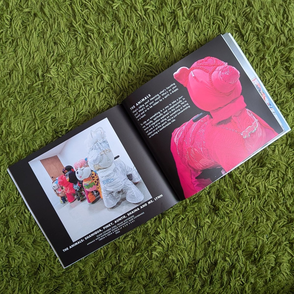 Image of RIDE THE ANIMALS BOOK