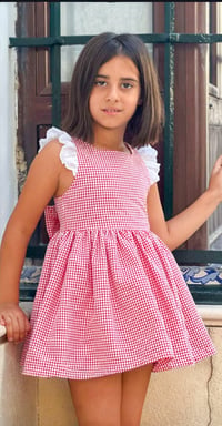 Image 1 of Ruby Picnic Dress