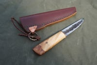 Image 6 of Yakut knife RH blade Hazel tree burl