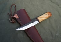 Image 7 of Yakut knife RH blade Hazel tree burl