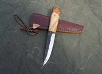 Image 12 of Yakut knife RH blade Hazel tree burl