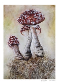 Mushrooms , Limited Edition Fine Art Print 