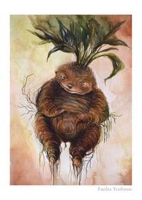 Mandrake , Limited Edition Fine Art Print 