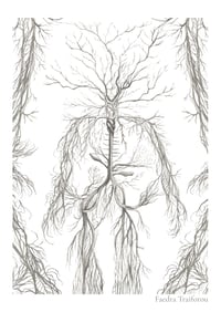 Tree, Limited Edition Fine Art Print 
