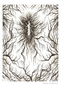 Root, Limited Edition Fine Art Print 