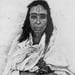 Image of (Marc Garanger) (Femmes Algériennes 1960)