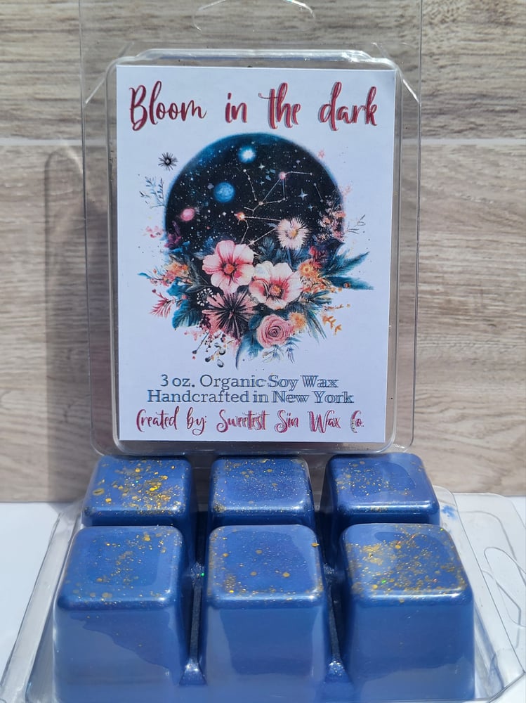Image of Bloom in the Dark!
