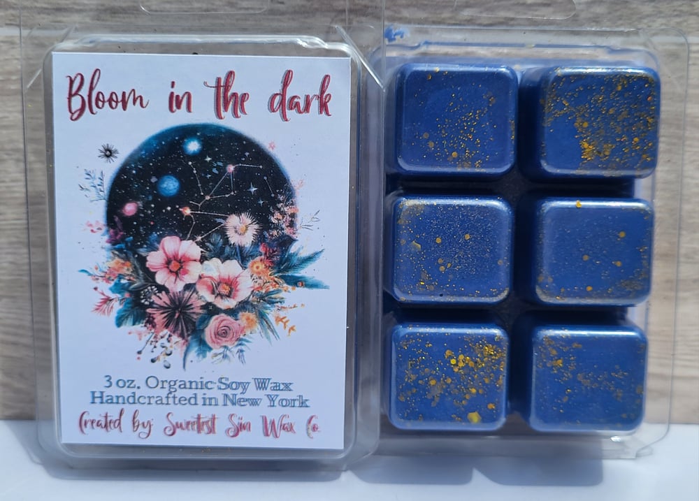 Image of Bloom in the Dark!