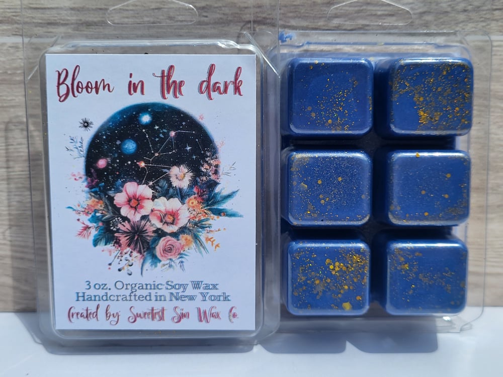 Image of Bloom in the Dark!