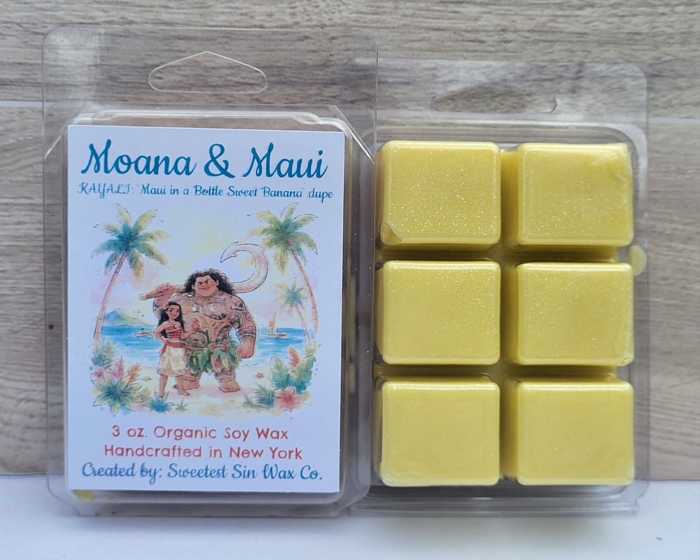 Image of Moana & Maui