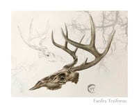 Deer, Limited Edition Fine Art Print 