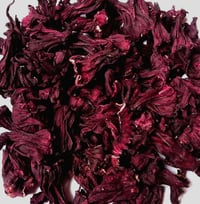 Image 2 of Hibiscus 