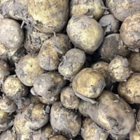 British Cornish Rocket First Earlies New Season Potatoes